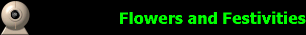 Flowers and Festivities
